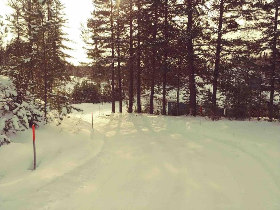 Le Chalet Bleu, Aux Pieds Des Monts-Valin Saint-David-de-Falardeau 외부 사진