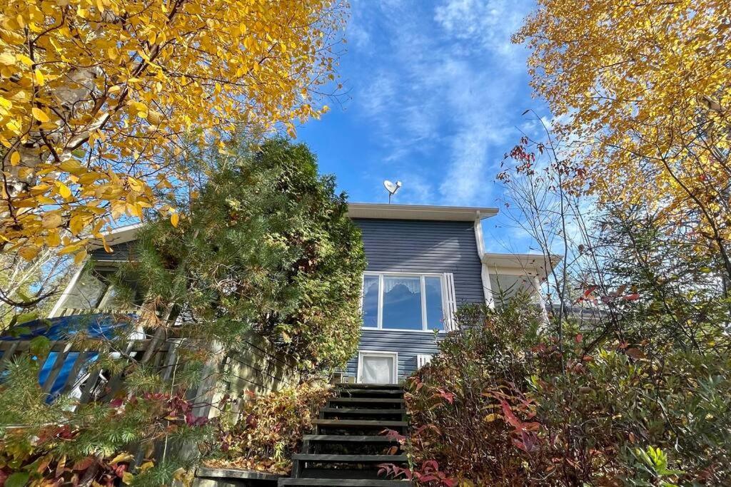 Le Chalet Bleu, Aux Pieds Des Monts-Valin Saint-David-de-Falardeau 외부 사진