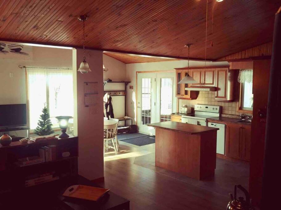 Le Chalet Bleu, Aux Pieds Des Monts-Valin Saint-David-de-Falardeau 외부 사진